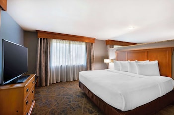 Standard Room, 1 King Bed, Accessible, Non Smoking