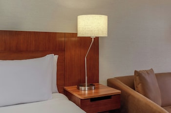 Room, 1 King Bed with Sofa bed