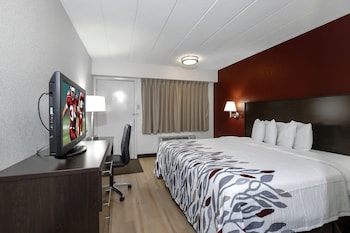 Deluxe Room, 1 King Bed, Non Smoking