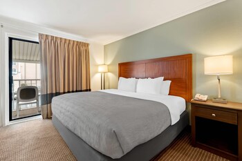 Room, 1 King Bed, Non Smoking