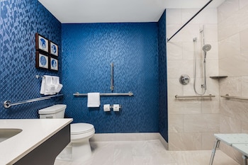 Room, 1 King Bed, Accessible (Roll-In Shower)