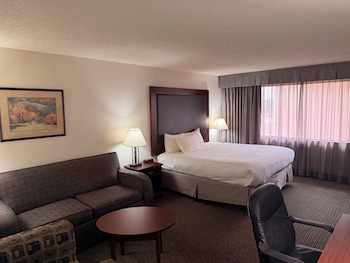 Standard Room, 1 King Bed, Non Smoking