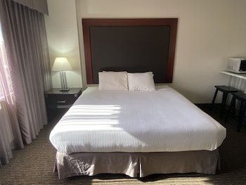 1 King Bed, Kitchenette, Non-Smoking, No Pets.
