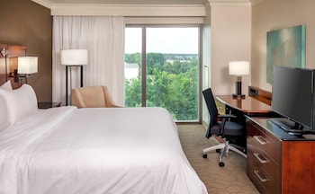Room, 1 King Bed