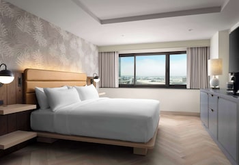 Executive Suite, 1 King Bed