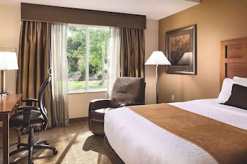 Room, 1 King Bed, Accessible, Non Smoking (Hearing, Roll-in Shower)