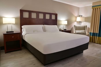 Classic Room, 1 King Bed