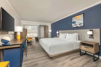 Room, 1 King Bed