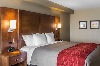 Room, 1 King Bed, Accessible, Non Smoking