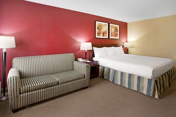 Room, 1 King Bed, Non Smoking (Pet Friendly)