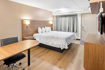 Premium Room, 1 King Bed (Upgraded Bedding & Snack, Smoke Free)