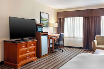 Suite, 1 King Bed, Non Smoking, Refrigerator & Microwave (with Sofabed)