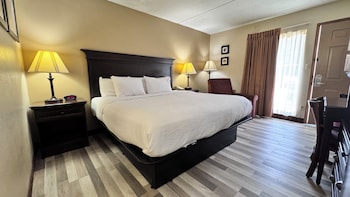 Suite, 1 King Bed