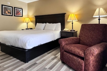 Room, 1 King Bed, Accessible, Non Smoking