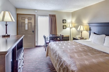 Suite, 1 King Bed
