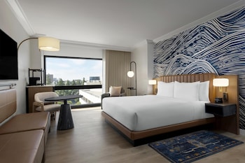 Room, 1 King Bed