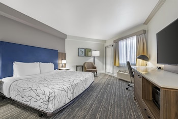 Standard Room, 1 King Bed, Accessible, Patio (Walk-in Shower)