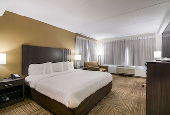 Standard Room, 1 Queen Bed, Non Smoking (No Pets)