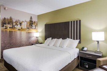 Standard Room, 1 King Bed, Non Smoking
