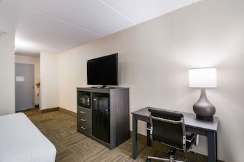 Standard Room, 1 King Bed, Accessible, Non Smoking (Accessible Tub)