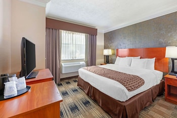 Standard Room, 1 King Bed, Non Smoking, Refrigerator