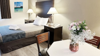 Comfort Single Room