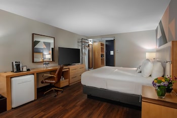 Room, 1 Queen Bed, Non Smoking (Mobility/Hearing Accessible, Tub)