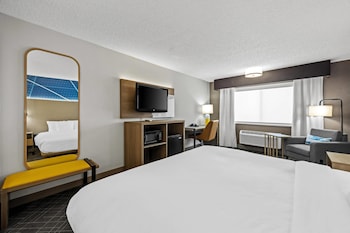 Standard Room, 1 King Bed, Non Smoking