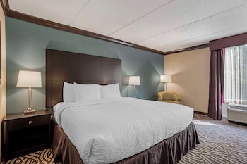 Standard Room, 1 King Bed, Accessible