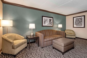 Suite, 1 King Bed, Non Smoking, Refrigerator & Microwave (with Sofabed)