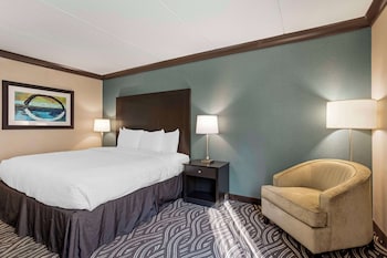 Standard Room, 1 King Bed, Accessible