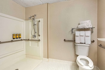 Standard Room, 1 King Bed, Accessible