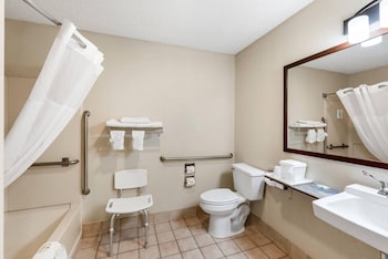 Room, 1 King Bed, Accessible, Non Smoking