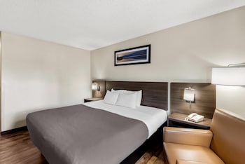 Room, 1 King Bed, Accessible, Non Smoking