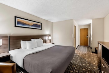 Standard Room, 1 King Bed, Non Smoking, Refrigerator