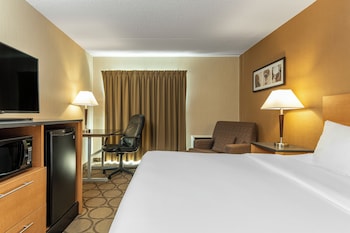 Room, 1 King Bed with Sofa bed, Non Smoking (Efficiency)
