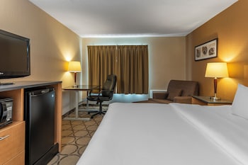Room, 1 King Bed, Non Smoking