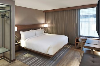 Room, 1 King Bed, Roll-in Shower