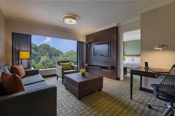 Suite, 1 King Bed