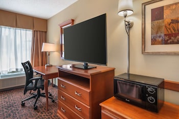 Standard Room, 1 King Bed, Non Smoking (Pet Friendly)