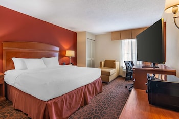 Standard Room, 1 King Bed, Non Smoking (Pet Friendly)