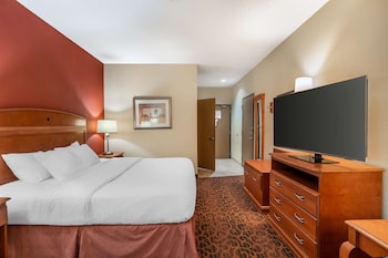 Standard Room, 1 King Bed, Accessible, Non Smoking