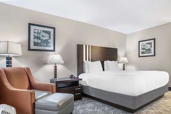 Standard Room, 1 King Bed, Non Smoking, Refrigerator & Microwave