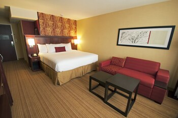 Room, 1 King Bed with Sofa bed