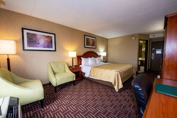 Standard Room, 1 King Bed, Non Smoking