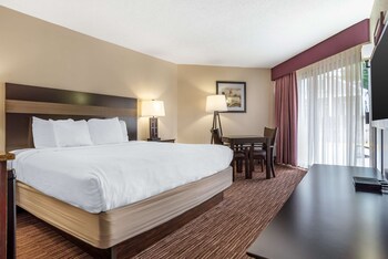Standard Room, 1 King Bed, Non Smoking, Patio