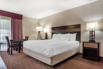 Standard Room, 1 King Bed, Accessible, Refrigerator & Microwave
