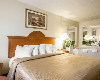 Room, 1 King Bed, Non Smoking