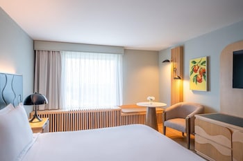 Deluxe King Room with One King Bed