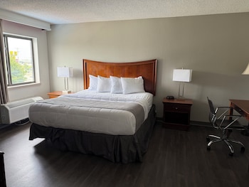 Room, 1 King Bed, Jetted Tub